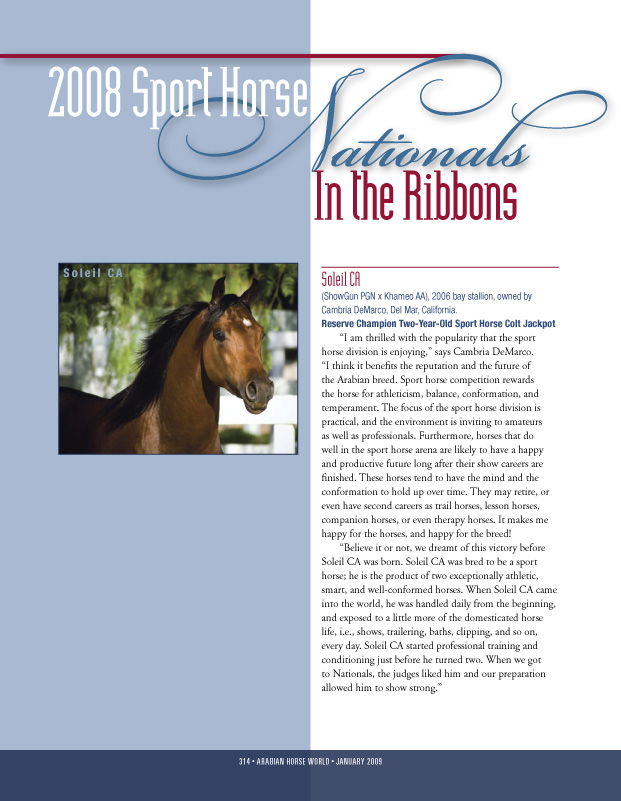 Arabian Horse World - January 2009: In the Ribbons